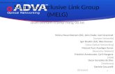Mutually Exclusive Link Group  (MELG)