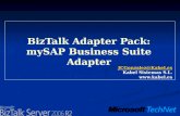 BizTalk  Adapter  Pack: mySAP  Business Suite  Adapter