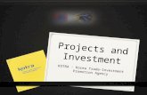 Projects and Investment