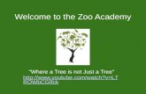 Welcome to the Zoo Academy