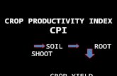 CROP PRODUCTIVITY INDEX CPI           SOIL       ROOT         SHOOT