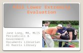 4353 Lower Extremity Evaluation