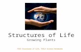 Structures of Life Growing Plants
