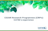 CGIAR Research Programmes (CRPs): CATIE’s experience