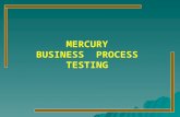 MERCURY  BUSINESS  PROCESS  TESTING