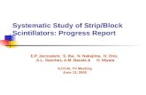 Systematic Study of Strip/Block Scintillators: Progress Report