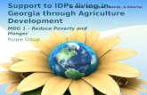 Support to IDPs living in Georgia through Agriculture Development