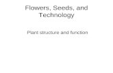 Flowers, Seeds, and Technology