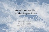 Anadromous  Fish  of the Rogue River