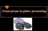 From prune to plate: processing