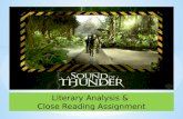 Literary Analysis &  Close Reading Assignment