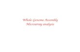 Whole Genome Assembly Microarray analysis