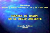 Workshop Radón y Medio Ambiente,  24 y 25 Junio 2004