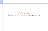 OS Structure, Processes & Process Management