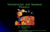 Terrestrial and Gaseous Planets