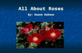 All About Roses By: Duane DeDene