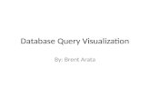 Database Query Visualization