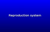 Reproduction system