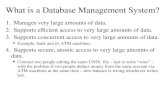 What is a Database Management System?