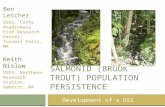 Salmonid  (Brook trout) population persistence