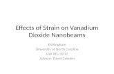 Effects of Strain on Vanadium Dioxide  Nanobeams