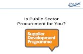 Is Public Sector Procurement for You?