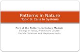 Patterns in Nature Topic  9 : Cells to Systems
