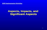 Aspects, Impacts, and  Significant Aspects