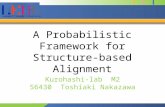 A Probabilistic Framework for Structure-based Alignment