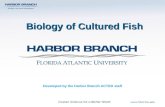 Biology of Cultured Fish