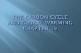 The Carbon Cycle and Global  Warming  Chapter 19