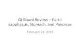 GI Board Review – Part I Esophagus, Stomach, and Pancreas