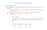 Ch 13 Reaction Mechanisms