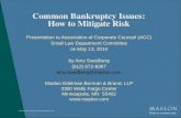 Common Bankruptcy Issues: How to Mitigate Risk