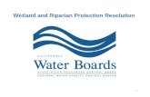 Wetland and Riparian Protection Resolution