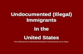 Undocumented (Illegal) Immigrants  in the  United States