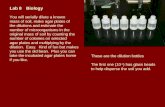 Lab 8Biology You will serially dilute a known  mass of soil, make agar plates of