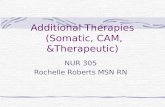 Additional Therapies  (Somatic, CAM, &Therapeutic)