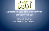 Epidemiology and etiology of  prostae  cancer