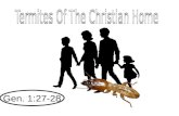 Termites Of The Christian Home
