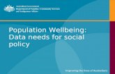 Population Wellbeing: Data needs for social policy