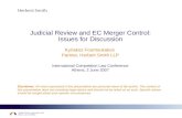 Judicial Review and EC Merger Control: Issues for Discussion