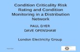 Condition Criticality Risk Rating and Condition Monitoring in a Distribution Network