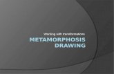 Metamorphosis Drawing