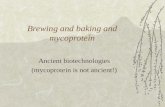 Brewing and baking and mycoprotein
