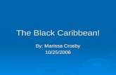 The Black Caribbean!