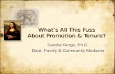 What’s All This Fuss About Promotion & Tenure?
