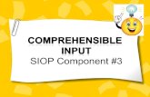 Comprehensible  Input SIOP Component #3