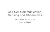 Cell-Cell Communication, Sensing and Chemotaxis