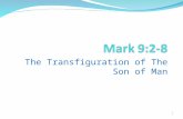 Mark 9:2-8